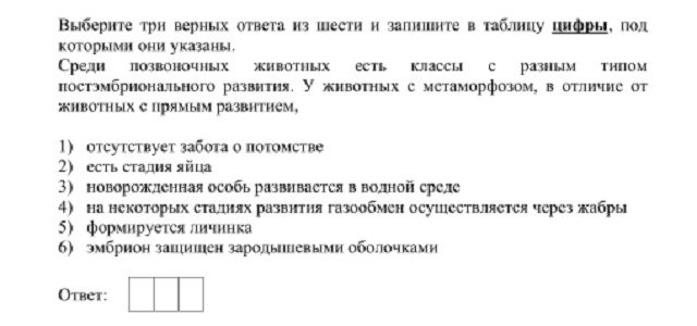 Сайт оонионо kraken
