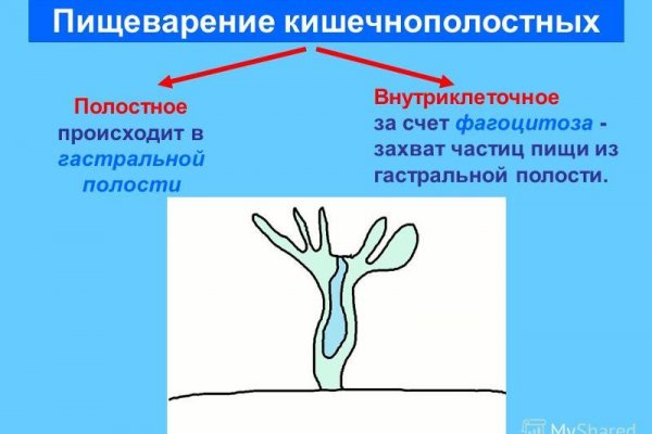 Список сайтов даркнета