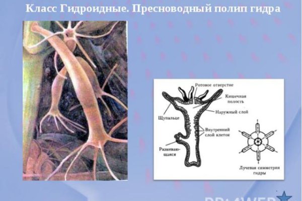 Как выйти на кракен