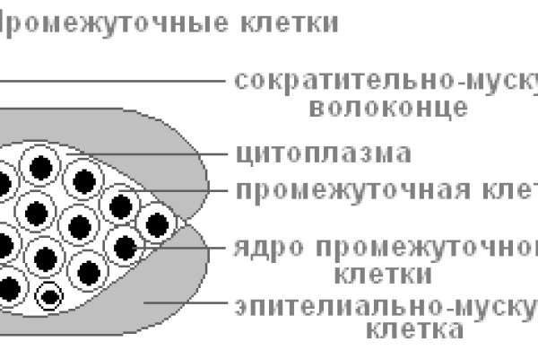 Кракен без впн