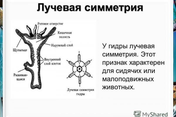 Кракен войти сегодня